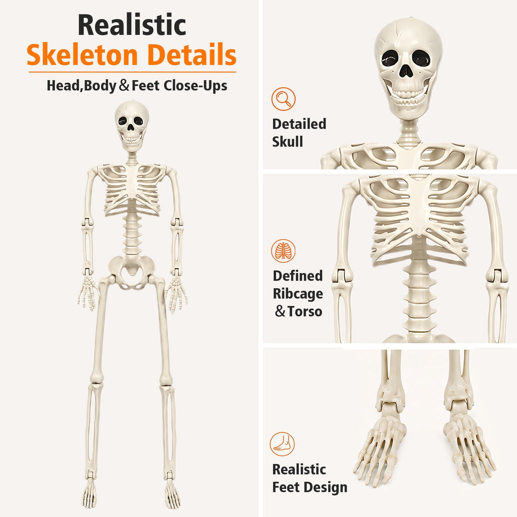 THE BRIVE 5.4ft Life Size Poseable Halloween Skeleton, Movable Joint Plastic Prop for Yard Porch Party Decor