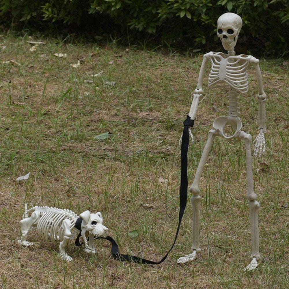 Slccxzc Halloween Skeleton Decoration Full Body Movable Joints with Dog Skeleton