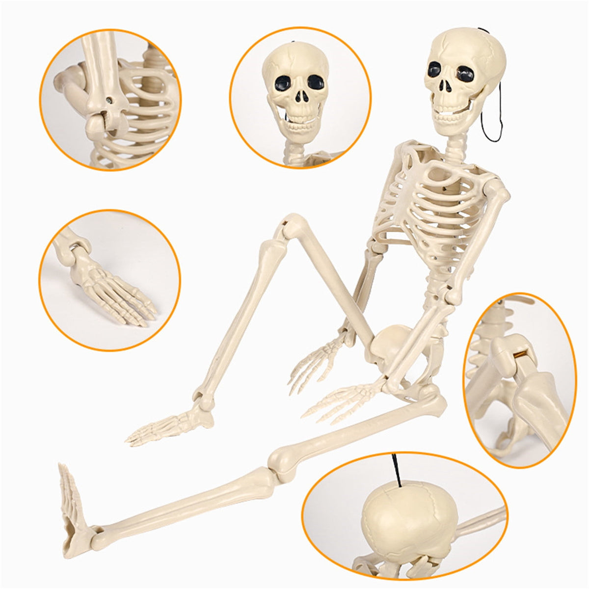 Posable Plastic Human Skeleton Prop 5.4FT Full Body Halloween Skeleton Decor with Movable Joints for Haunted House Yard Party Decoration