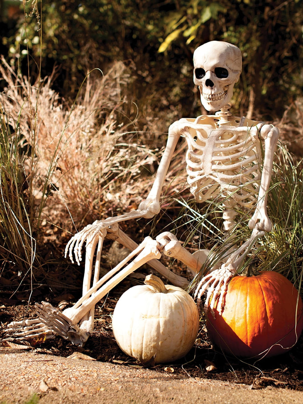 Seasons 5 FT Pose-N-Stay Life Size Skeleton with Realistic Posable and Movable Joints Halloween Decoration for Crazy Bonez Skeleton Line