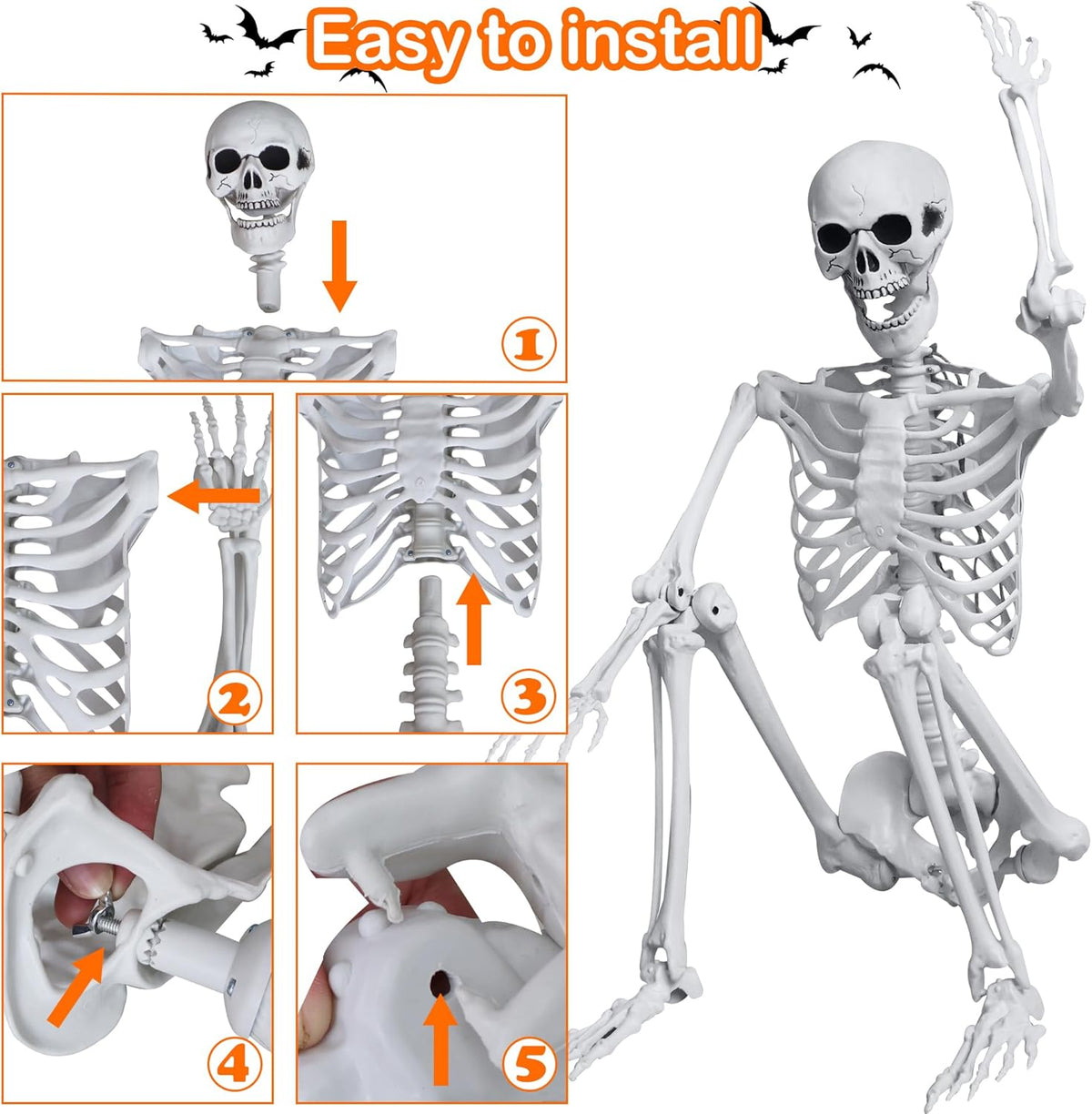 5.4ft/165cm Halloween Skeleton with Realistic Crows Full Body Plastic Human Bones with Movable Joints for Indoor Outdoor Halloween Decor