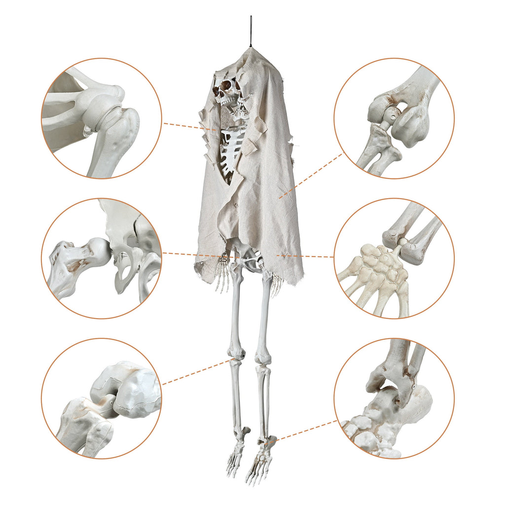 Yescom 5.6ft Halloween Pirate Captain Skeleton Life Size Human Bone Movable Joints Outdoor Decor 2026