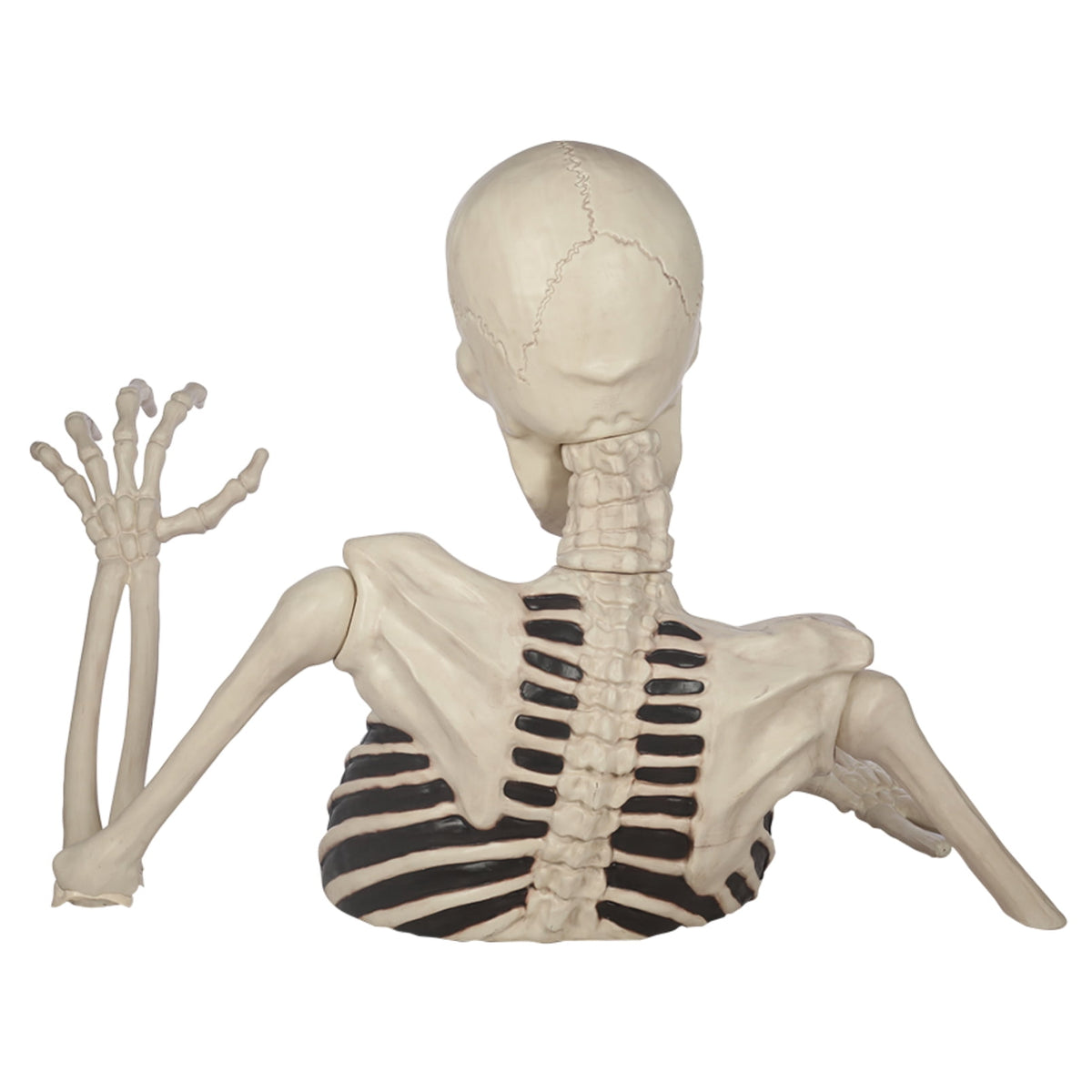 Seasons 35" Halloween Giant Groundbreaker Skeleton, Halloween Decoration for Outdoor Lawn Yard and Porch