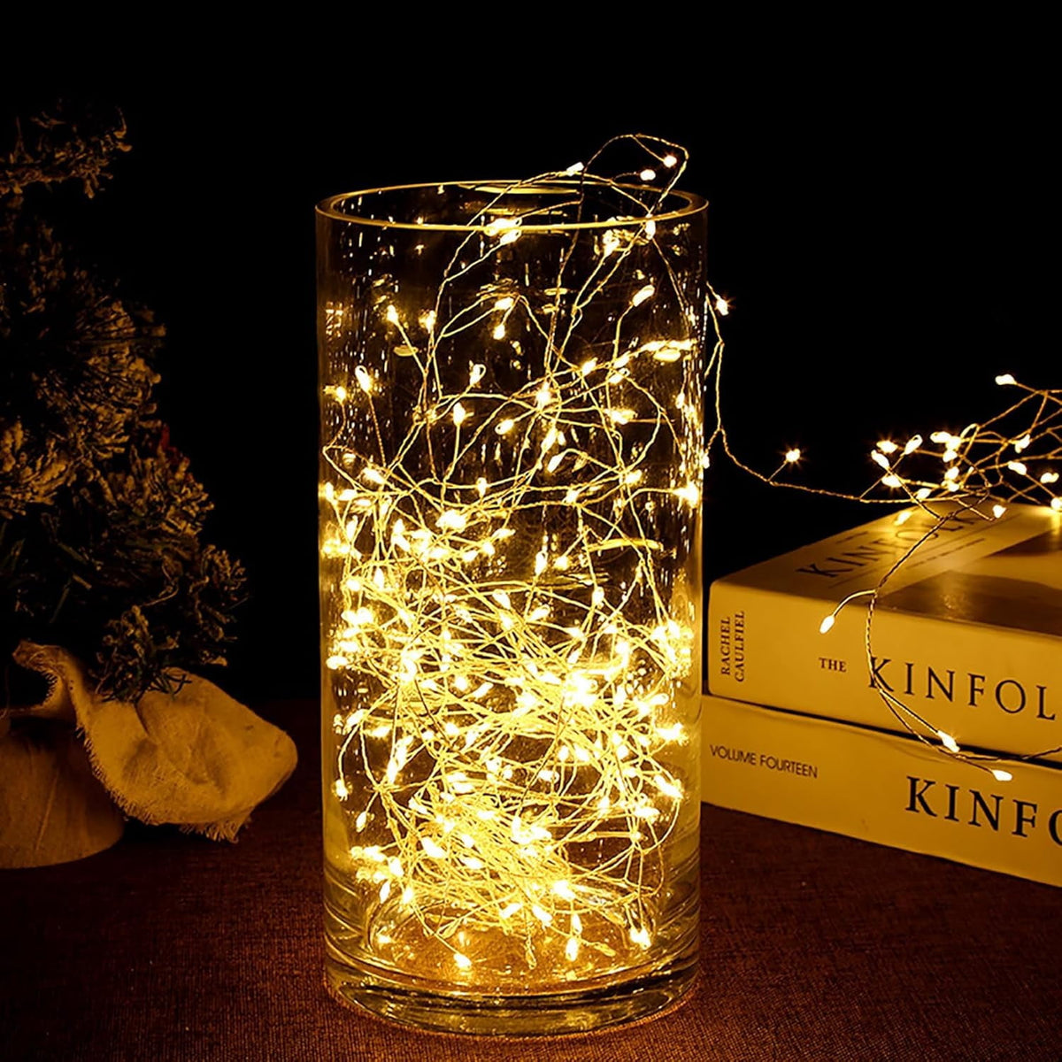 Outdoor String Lights with Remote,100M 3000LED Plug-in Powered Waterproof Fairy Lights, Copper Wire Christmas String Lights for Wedding, Party, and Indoor Fairy Lights