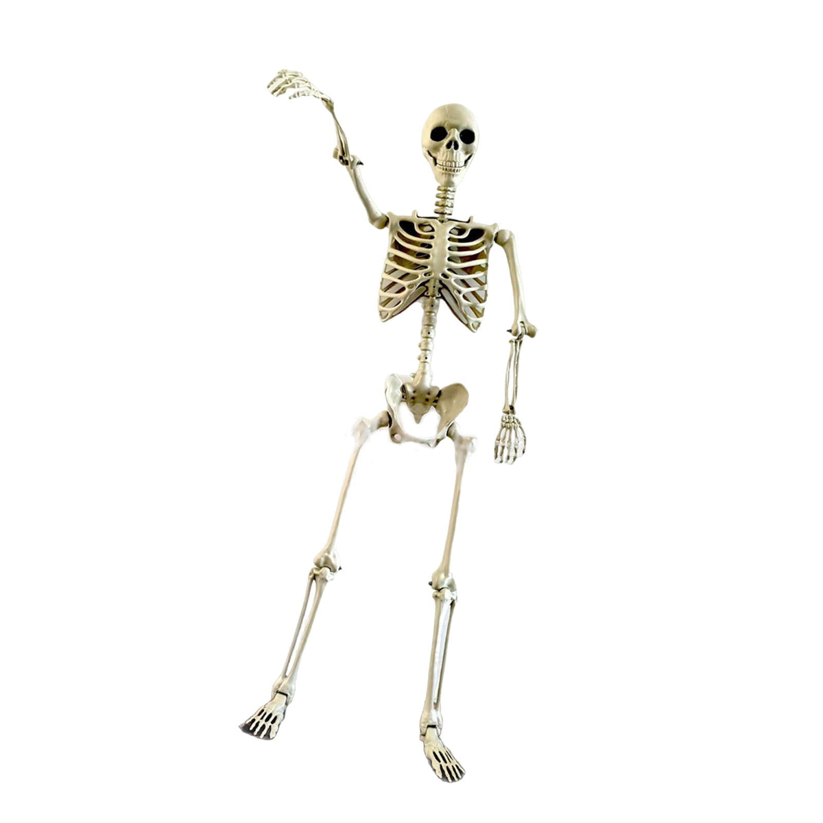 FVDPWYE Halloween Skeleton Horror Prop Ornament Flexible for Party Outdoor Festivals 170cm