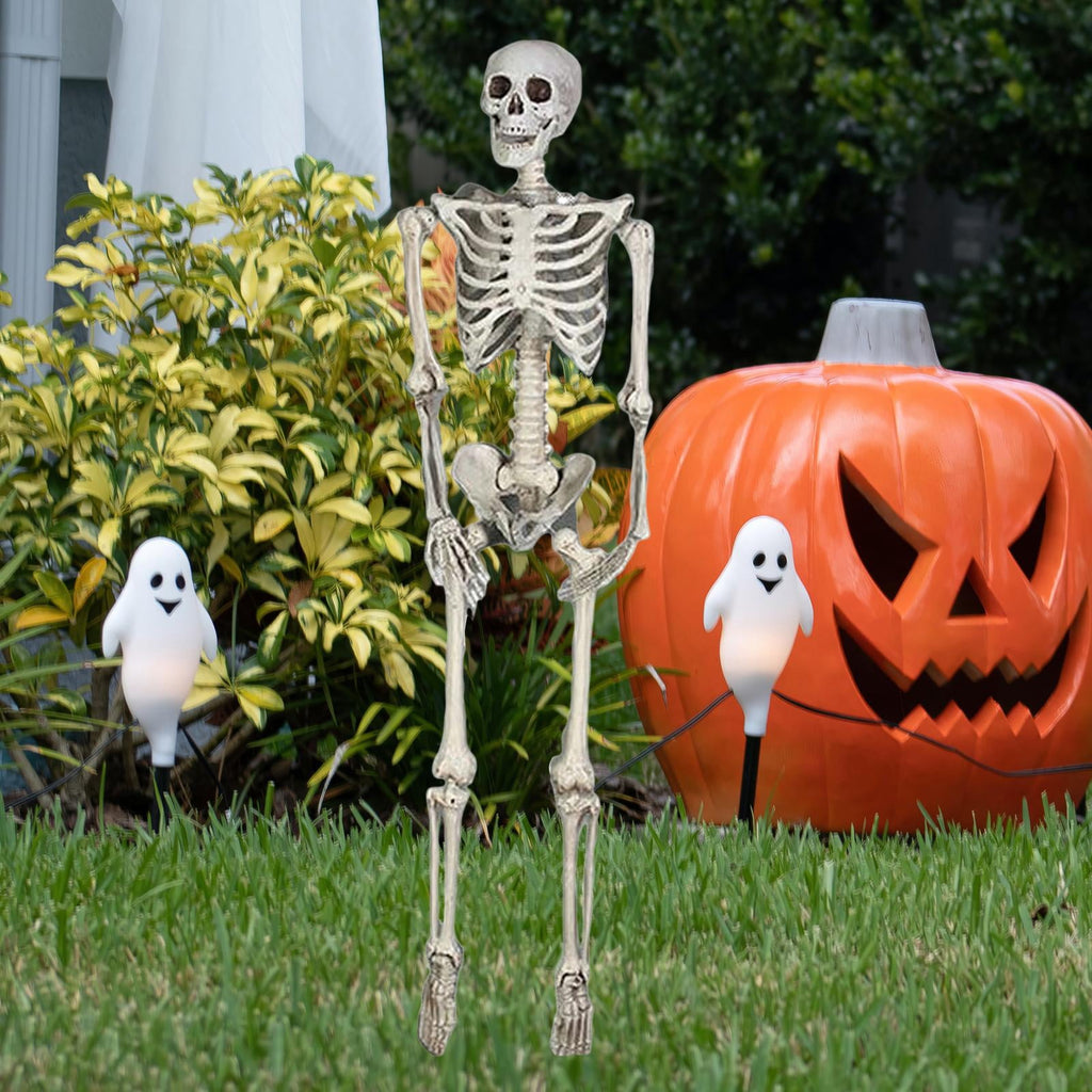 FVDPWYE Skull Halloween Skeleton Full Body Realistic Decorations Faux Human Skeleton for