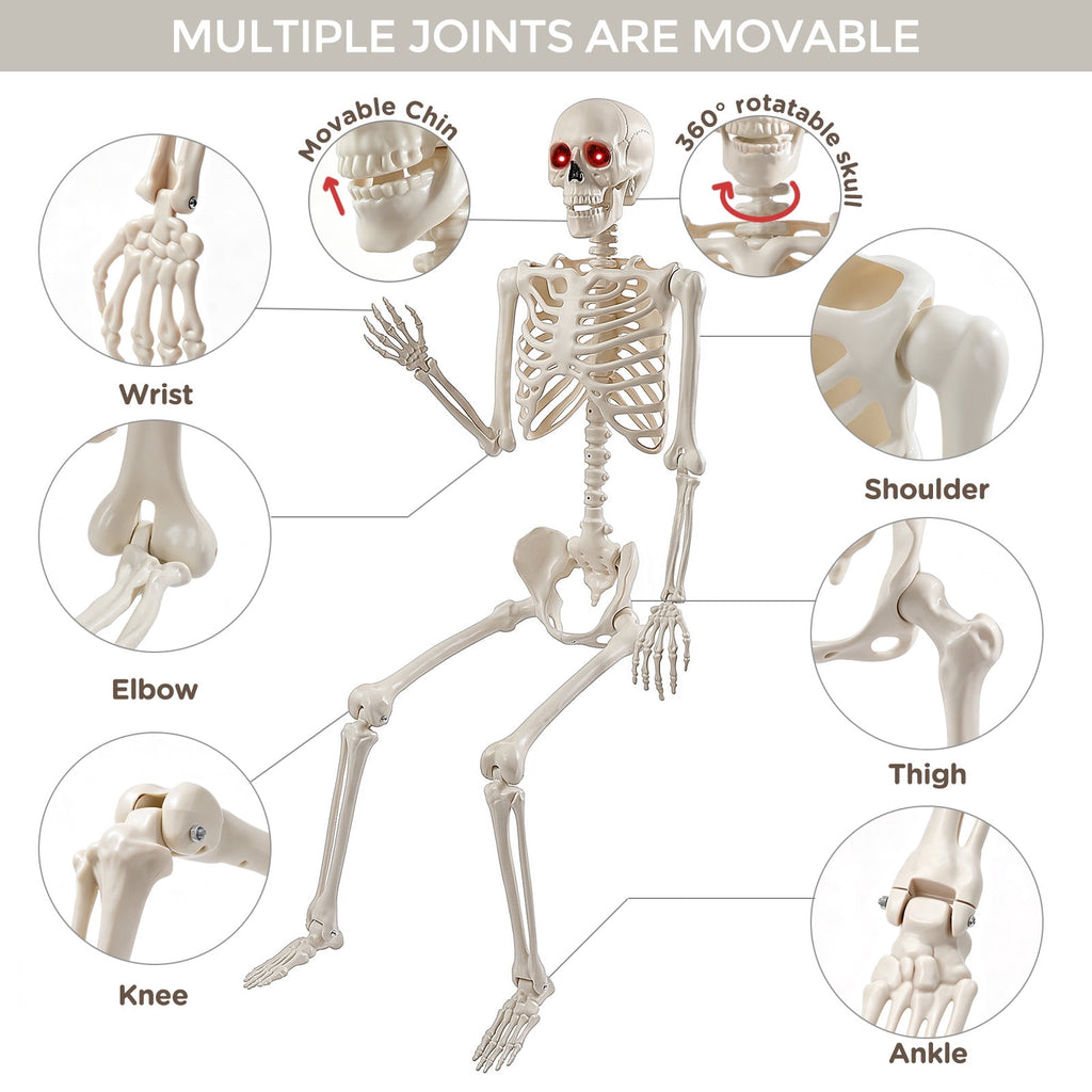 Ayieyill 5.4ft Halloween Skeleton Decorations, Weathered Posable Skeleton Decor for Halloween Decorations Outdoor Indoor