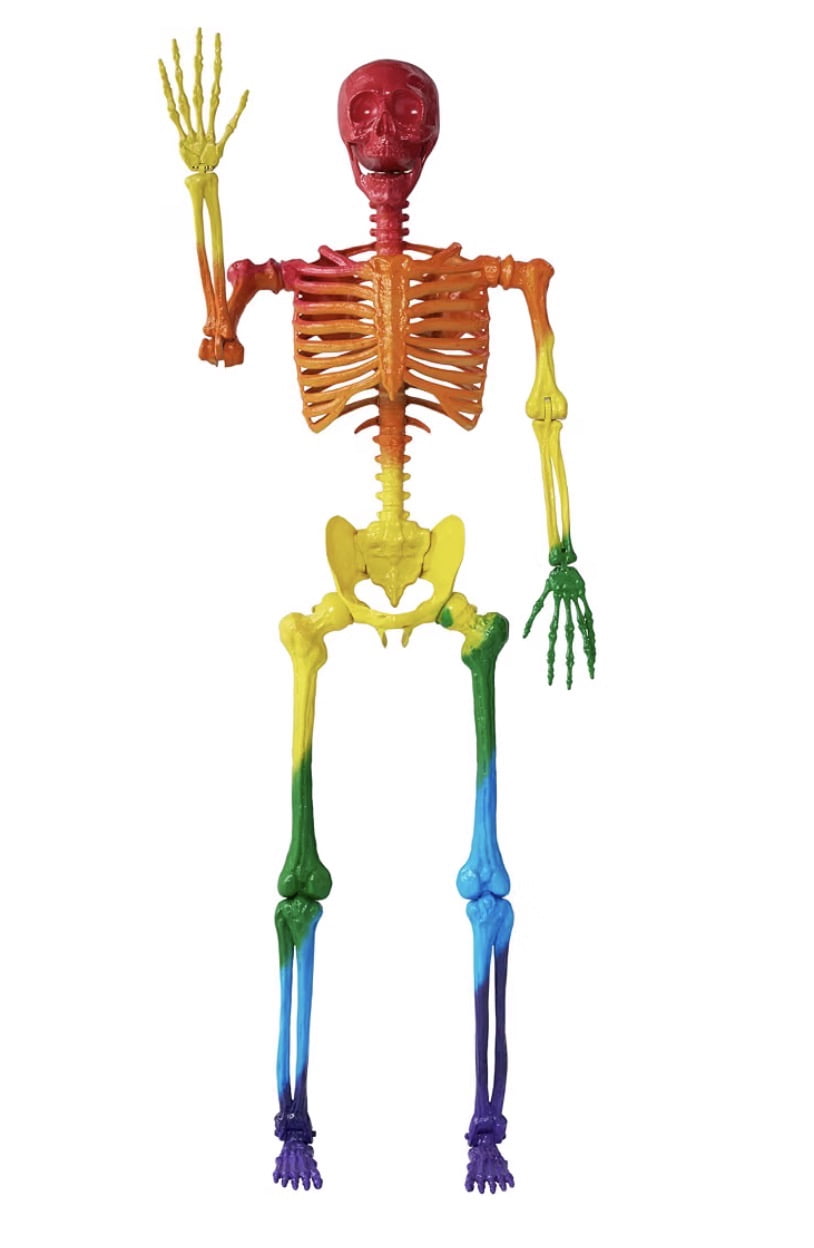 5.6 ft Halloween Posable Life Size Rainbow Skeleton