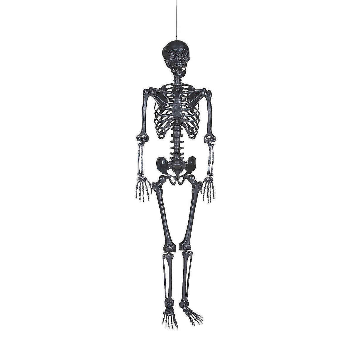 5 Foot Posable Black Skeleton - Home Decor - 1 Piece