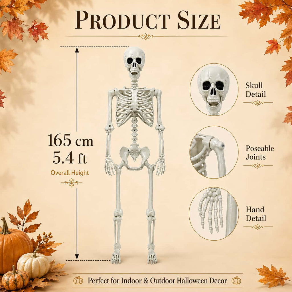 Valora Bella 5.4 FT Skeleton Halloween Decoration Outdoor Indoor - Life Size Poseable Full Body Skeleton Prop with Movable Joints Realistic Skull - Halloween Decor for Haunted House Porch Party Yard