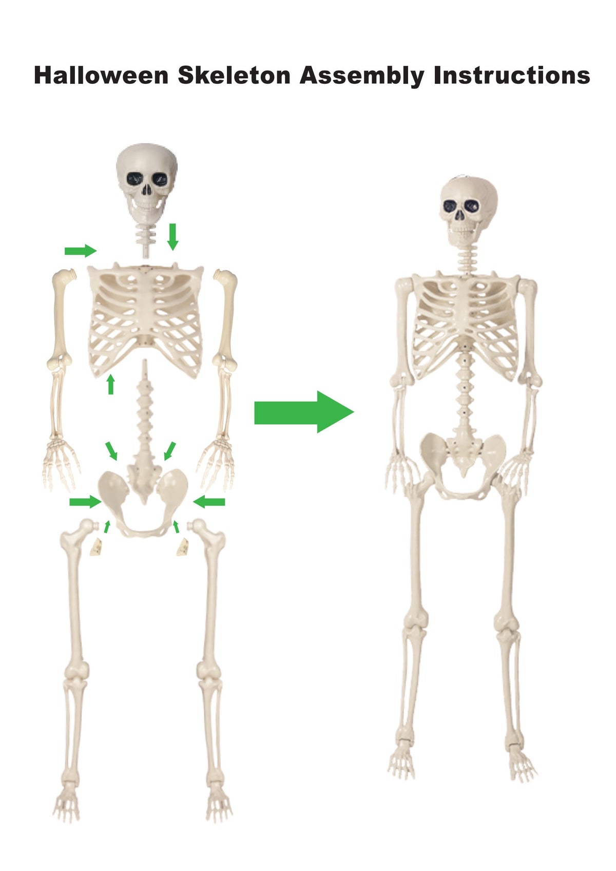 THE BRIVE 5.4ft Life Size Poseable Halloween Skeleton, Movable Joint Plastic Prop for Yard Porch Party Decor