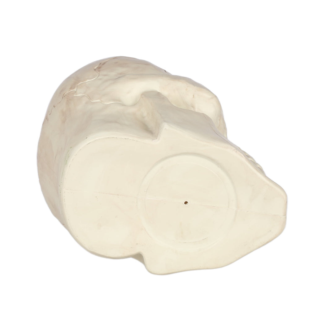 Seasons 17" Giant Skull Halloween Decorative for Crazy Bonez Skeleton Line, Large