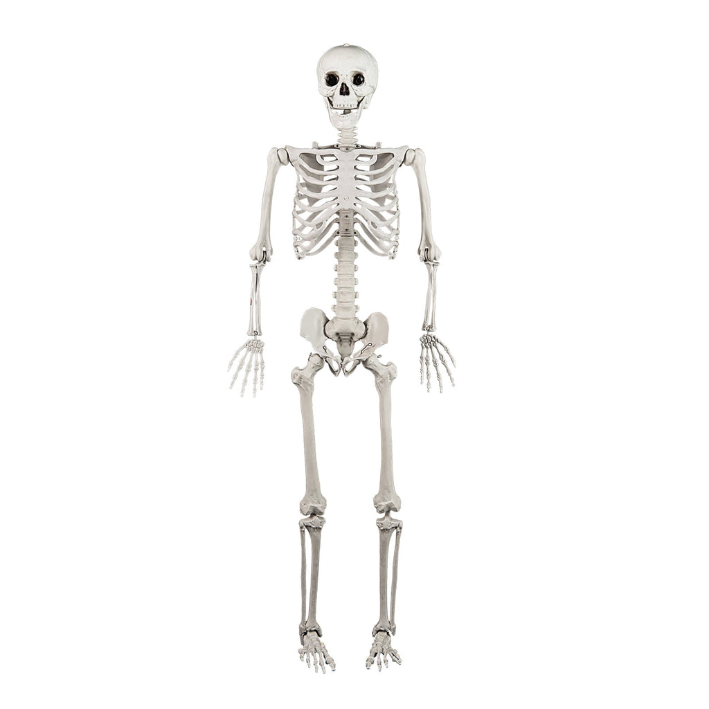 5.4ft Halloween Christmas Skeleton Life Size Realistic Full Body Hanging with Movable Joints 63 Inches