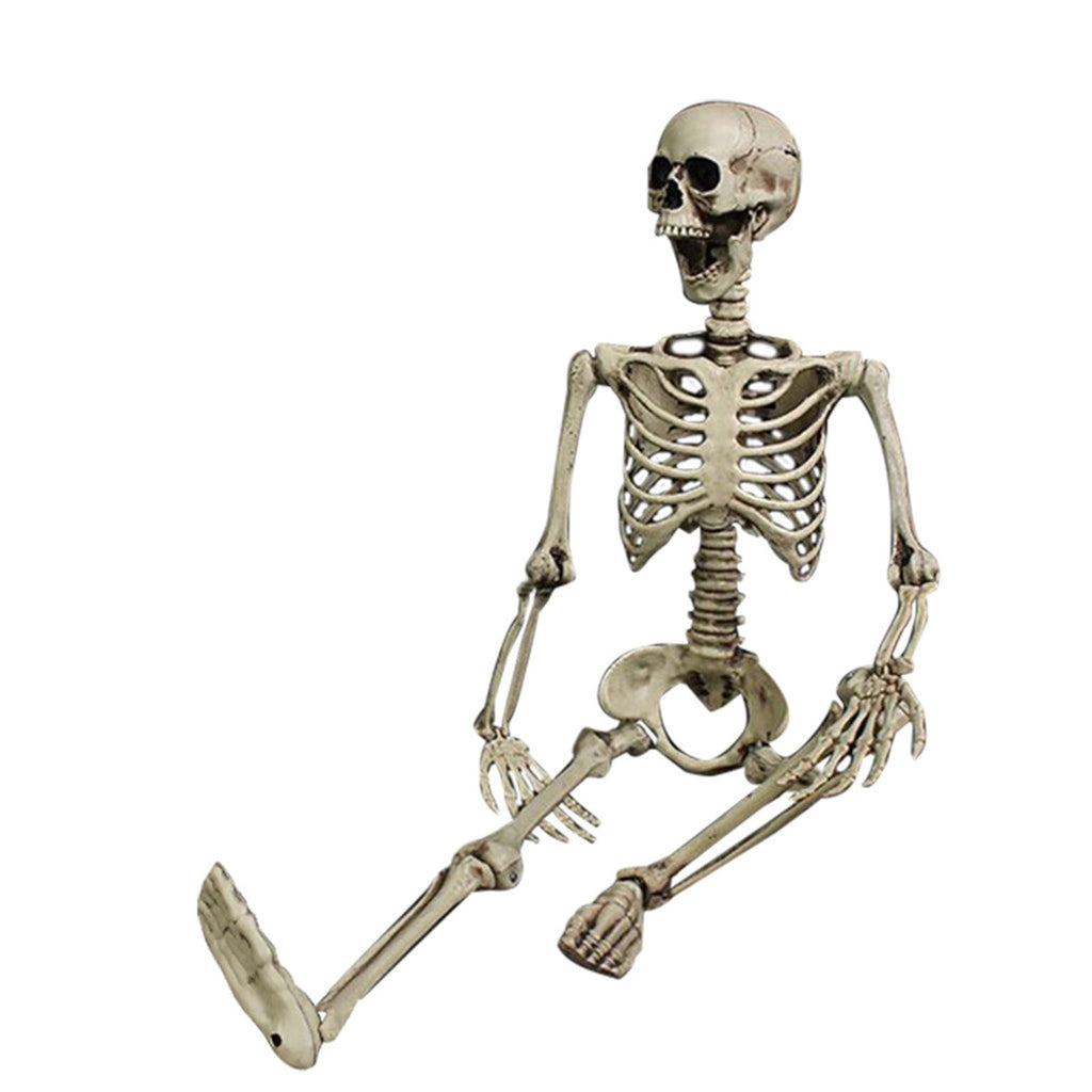 MInHoues Halloween Human Skeleton Decoration, Poseable Full Body Skeleton Prop for Haunted House, Realistic Bone Decor for Party Yard Scene, Durable Plastic Life-Size Spooky Figurine