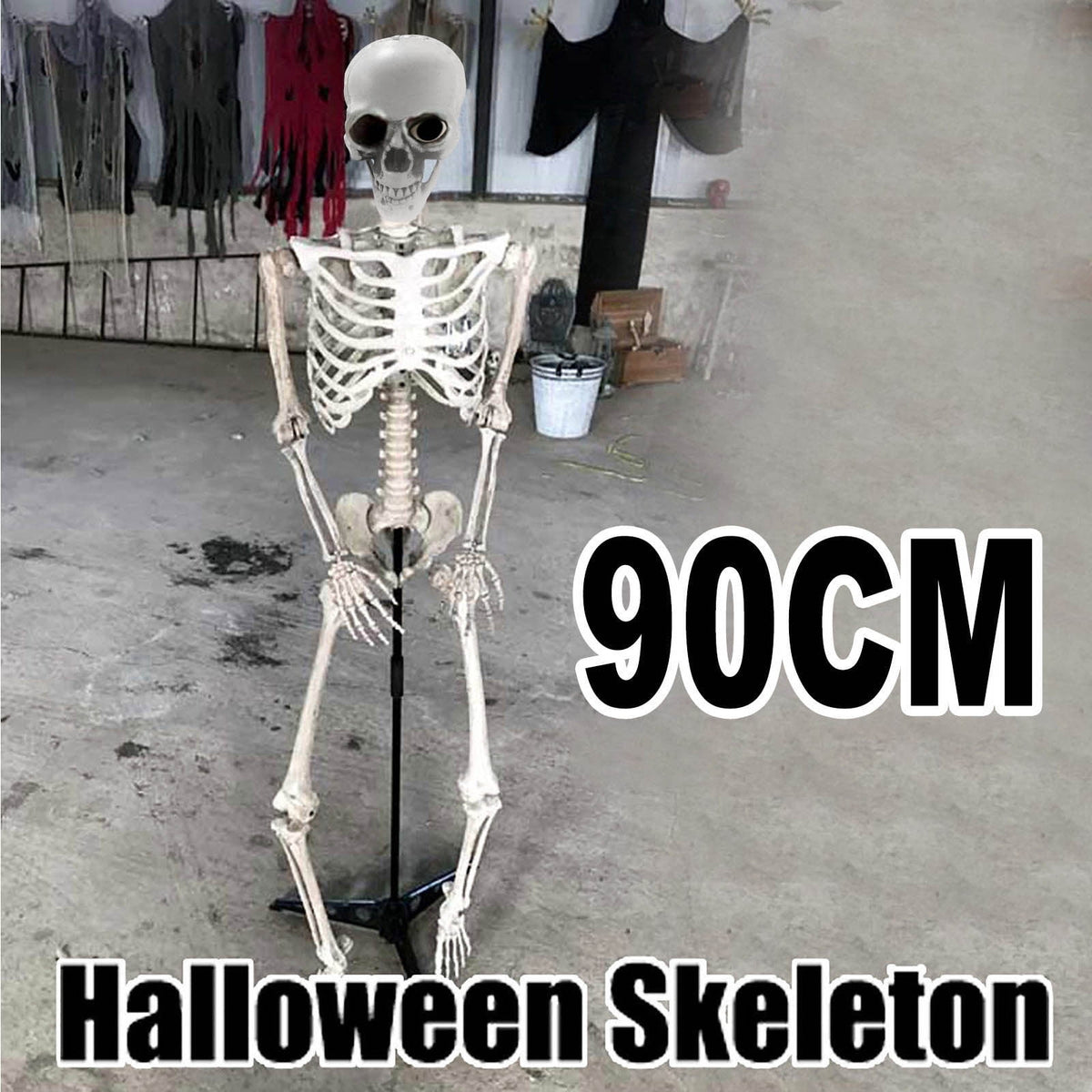 XGFHYJEH Halloween Decor, Halloween Decorations, Halloween Decorations Indoor, Halloween Indoor Decor, 170cm Halloween Skeleton Prop Human Full Size Skull Life Body Model