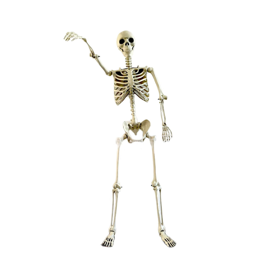 FVDPWYE Halloween Skeleton Horror Prop Ornament Flexible for Party Outdoor Festivals 170cm