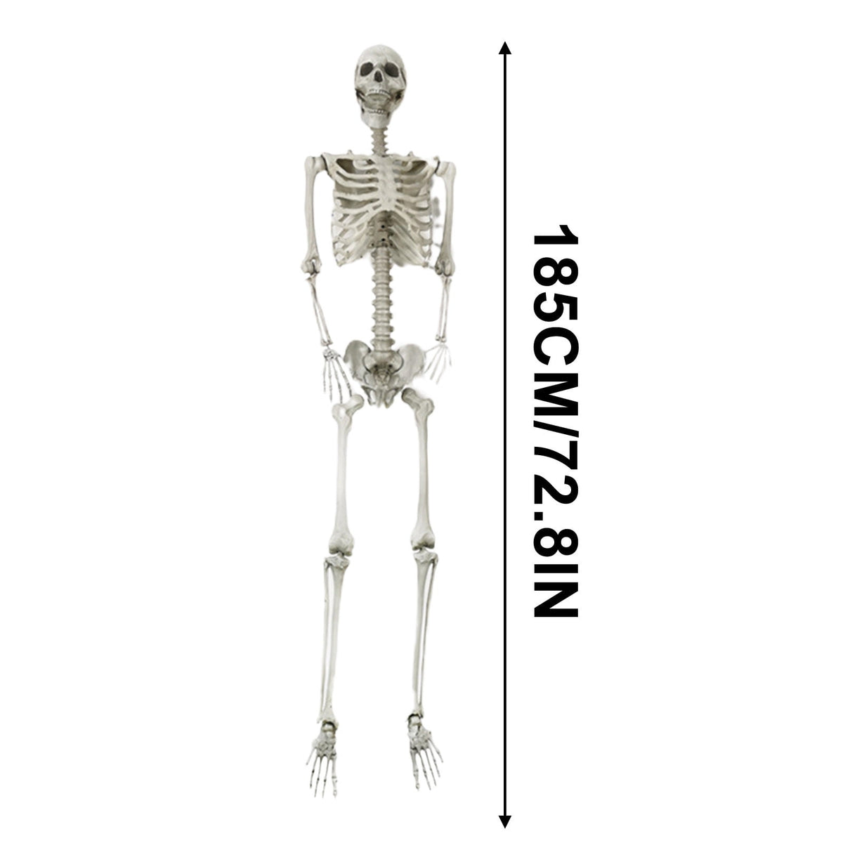 HOZVOMI Halloween Skeleton Decorations Outdoor – Posable Full-Body Hanging Skeleton with Movable Joints for Graveyard, Yard, Party, and Spooky Home Decor