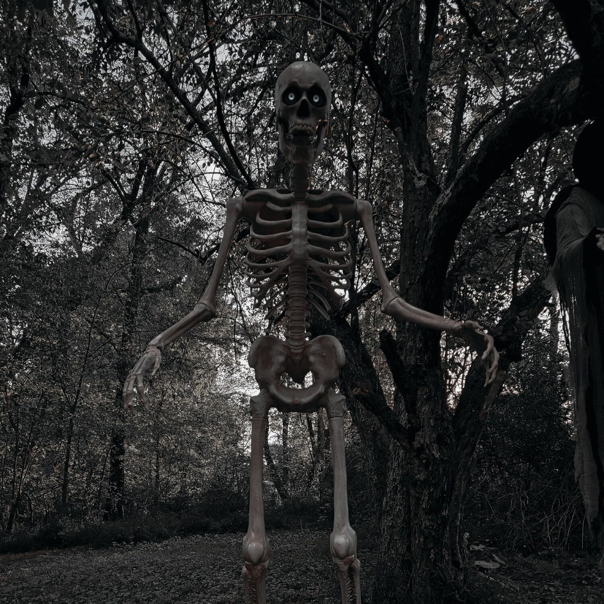 Haunted Hill Farm 8.0-Ft. Tall Motion-Activated Towering Skeleton, Premium Talking Halloween Animatronic, Plug-In