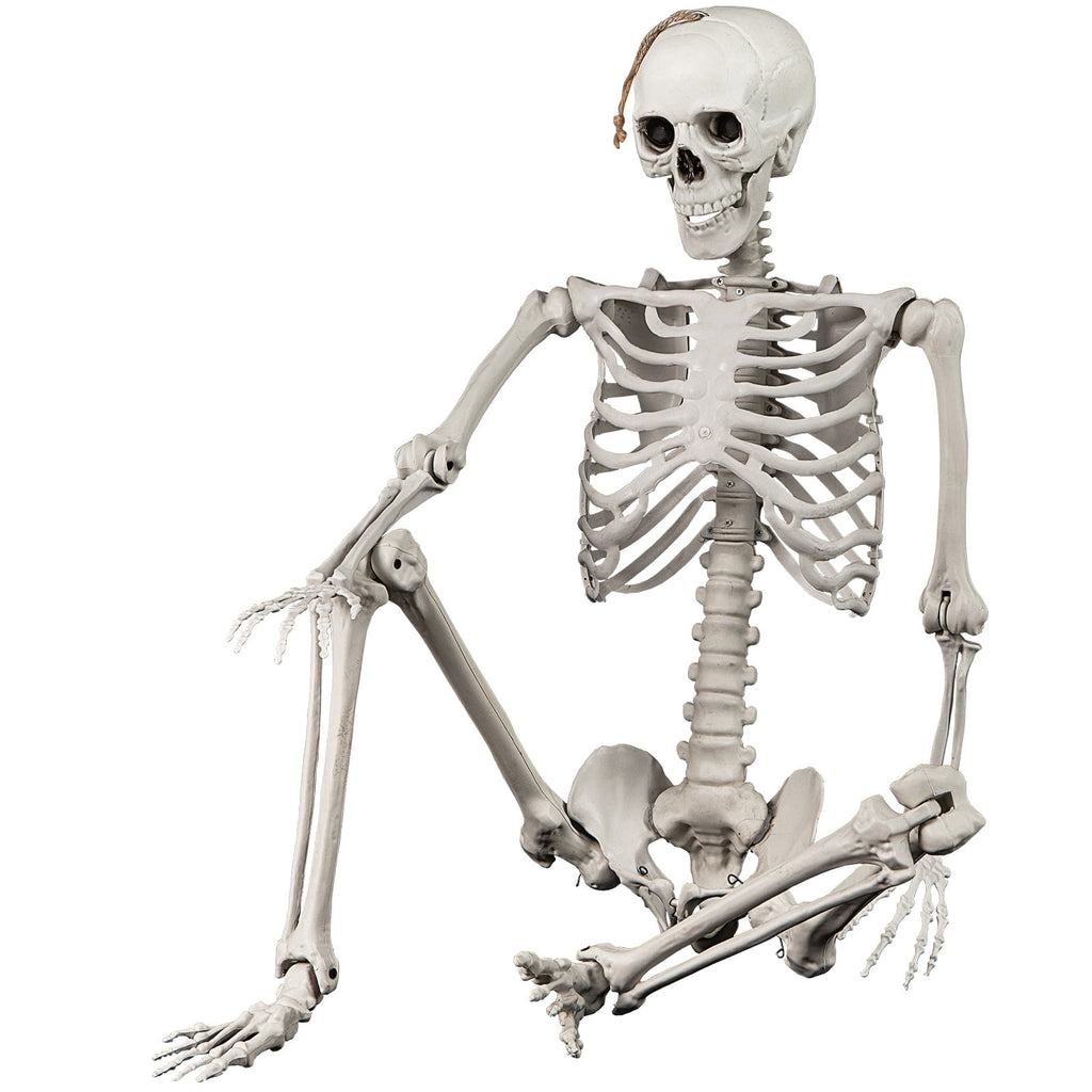 5.4ft Halloween Christmas Skeleton Life Size Realistic Full Body Hanging with Movable Joints 63 Inches