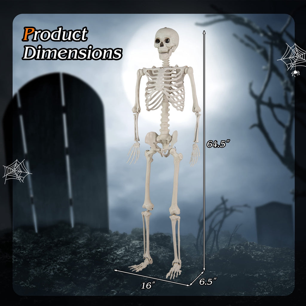 5.4ft Halloween Christmas Skeleton Life Size Realistic Full Body Hanging with Movable Joints 63 Inches