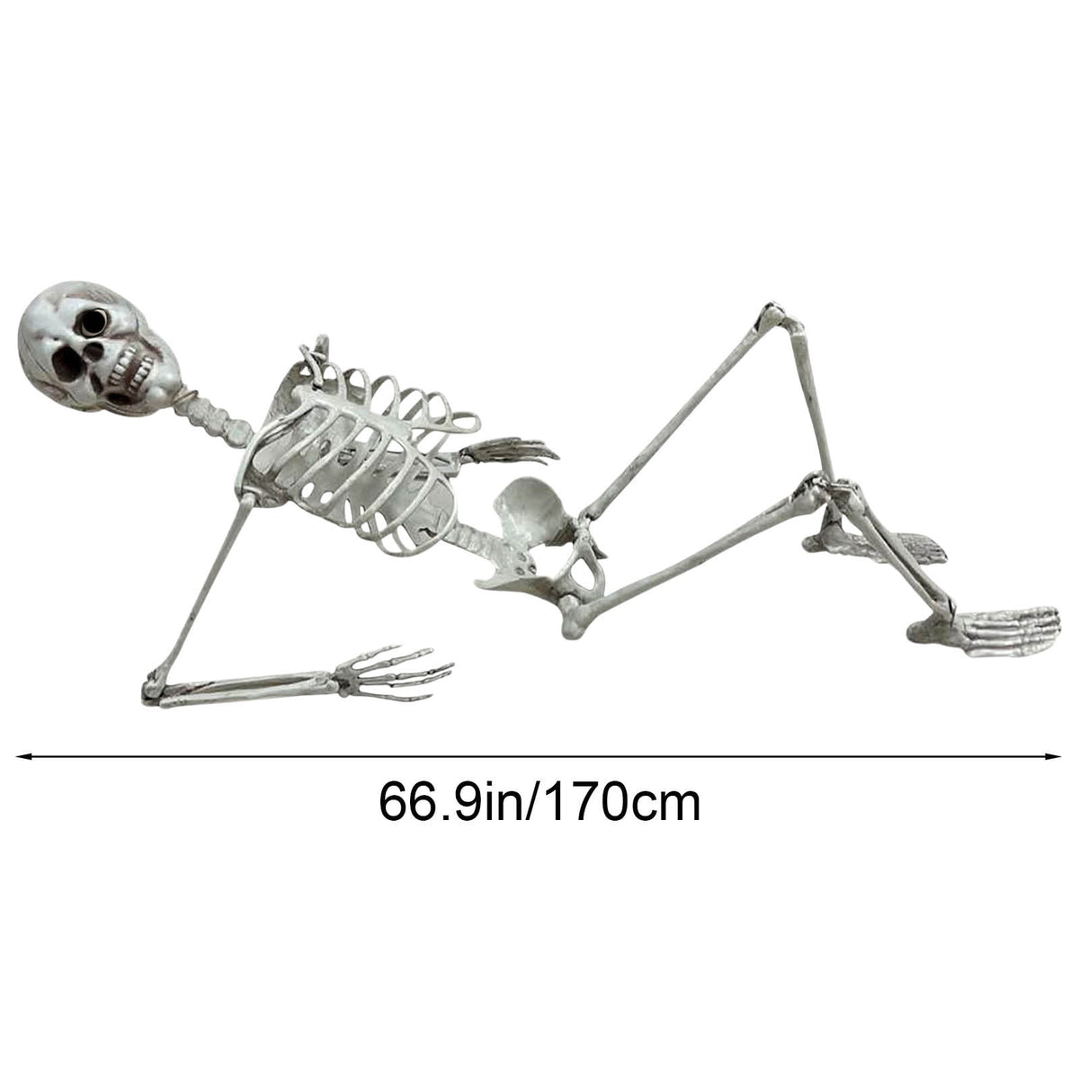 XGFHYJEH Halloween Decor, Halloween Decorations, Halloween Decorations Indoor, Halloween Indoor Decor, 170cm Halloween Skeleton Prop Human Full Size Skull Life Body Model