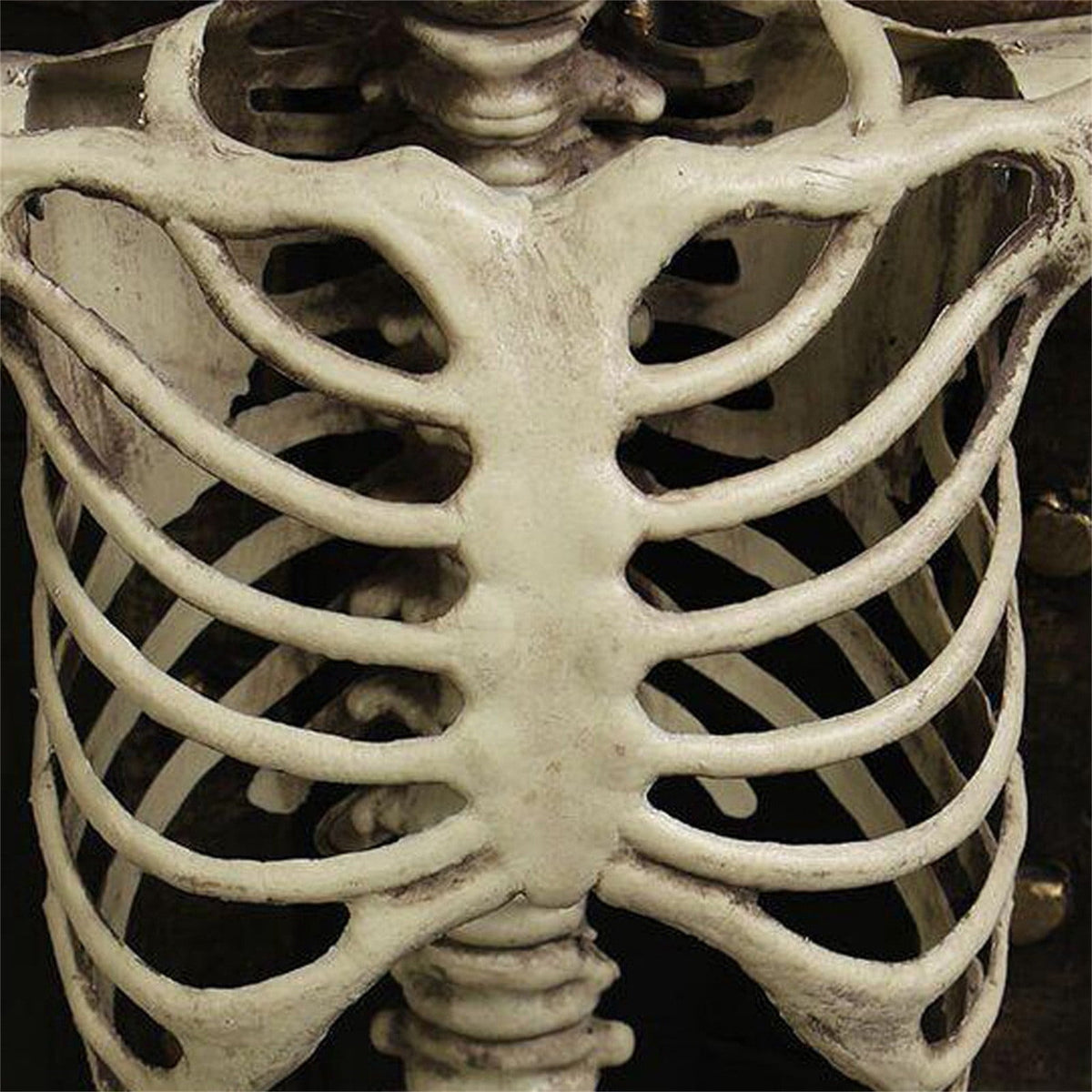 MInHoues Halloween Human Skeleton Decoration, Poseable Full Body Skeleton Prop for Haunted House, Realistic Bone Decor for Party Yard Scene, Durable Plastic Life-Size Spooky Figurine