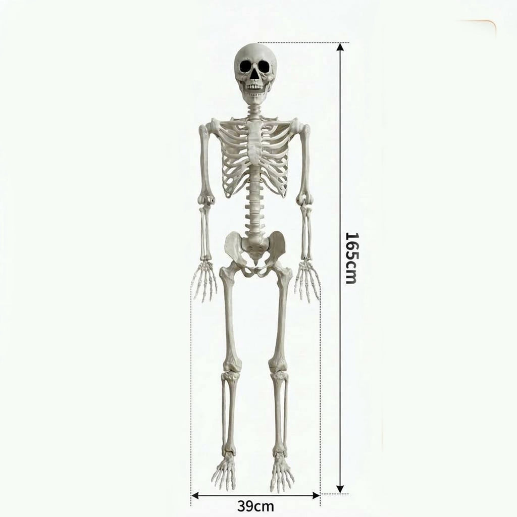 Halloween Simulation Skeleton Decoration, Realistic Skeleton Prop, Party House Yard Indoor Outdoor
