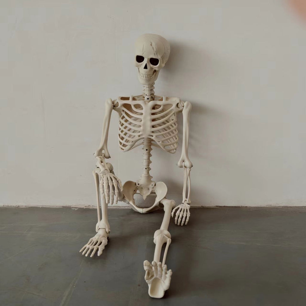 Halloween Skeleton Decorations, 53" Realistic Full Body Movable Posable Joints Skeleton, Creepy Halloween Skeleton for Graveyard Decorations, Haunted House Props Indoor/Outdoor Decor