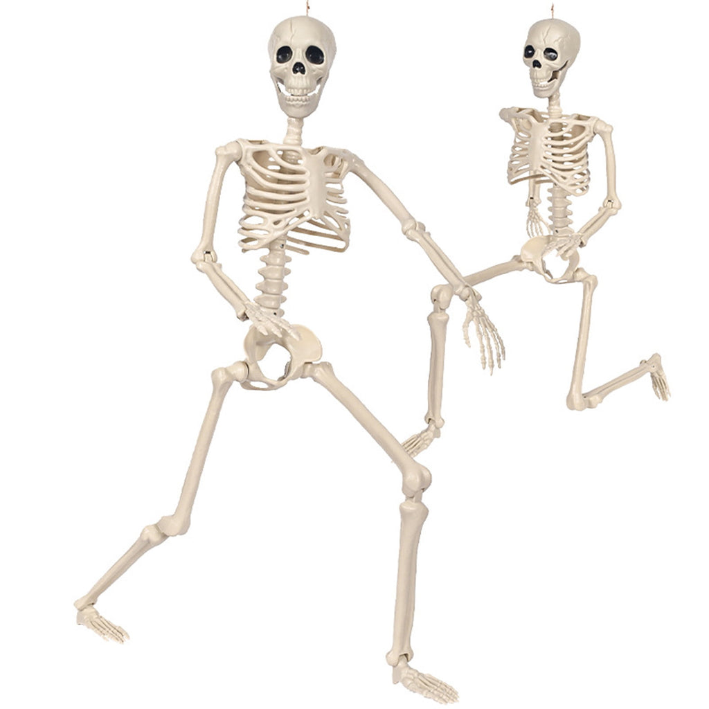 Posable Plastic Human Skeleton Prop 5.4FT Full Body Halloween Skeleton Decor with Movable Joints for Haunted House Yard Party Decoration