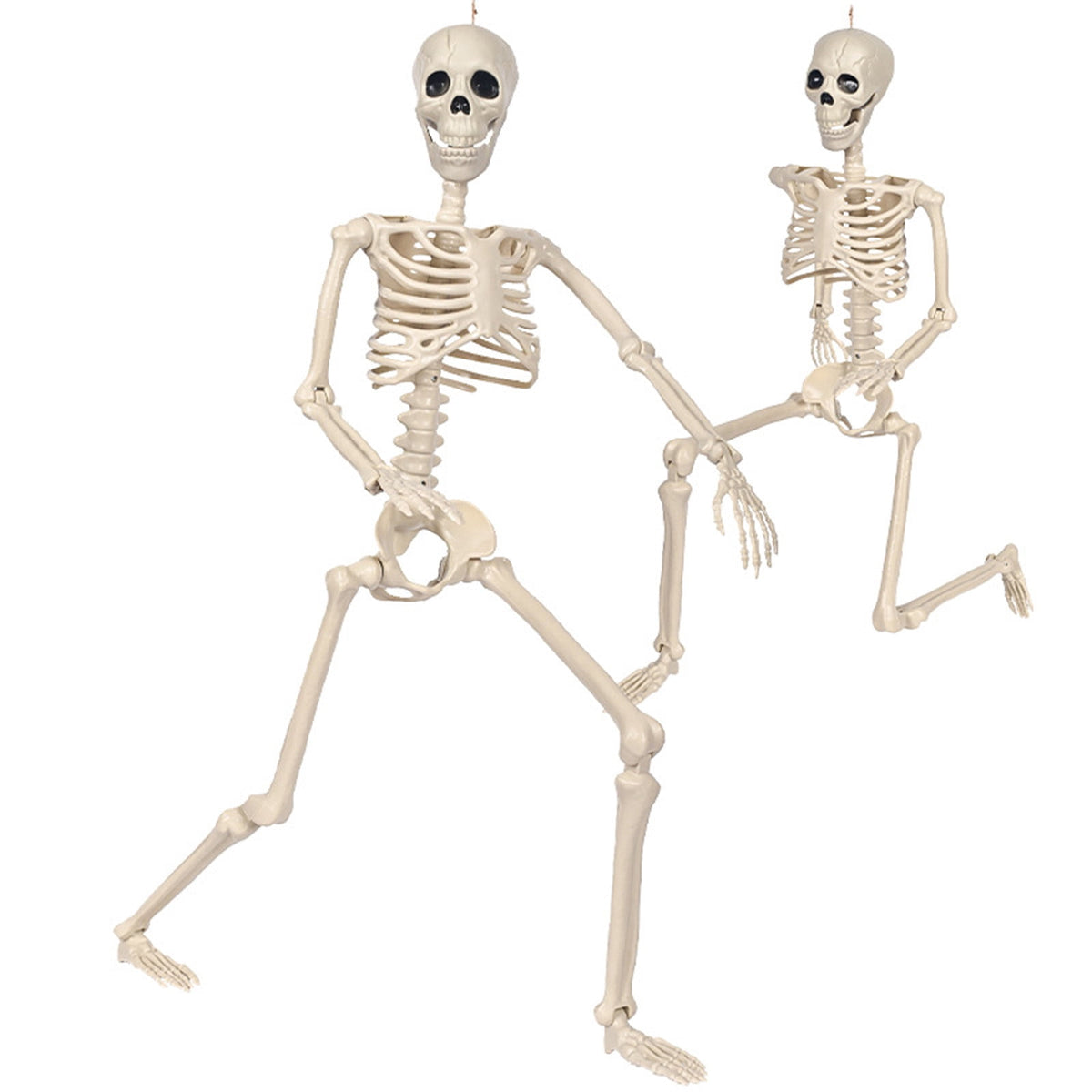 Posable Plastic Human Skeleton Prop 5.4FT Full Body Halloween Skeleton Decor with Movable Joints for Haunted House Yard Party Decoration