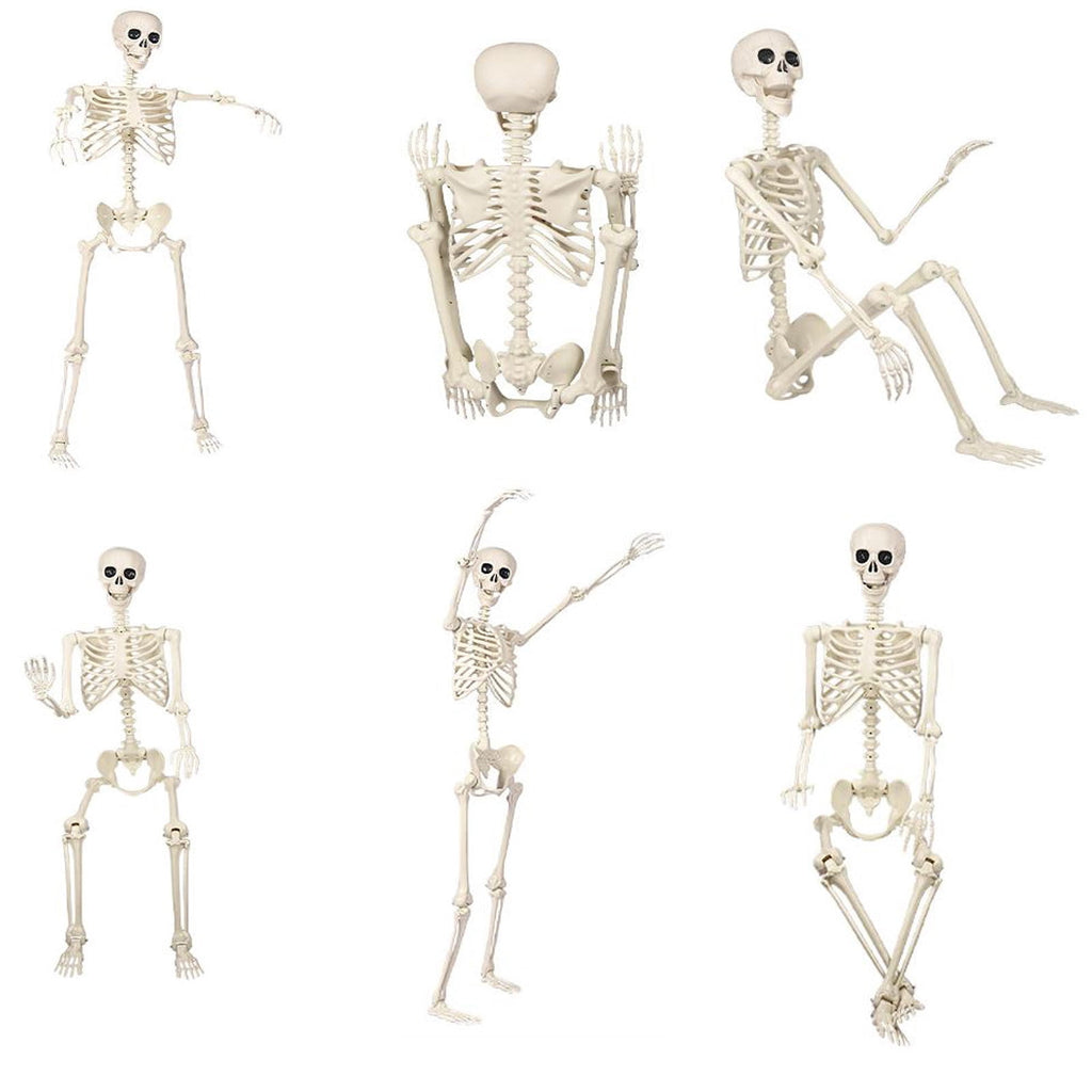 5.4FT Realistic Life-sized Human Plastic Skeleton Decoration, Flexible Joints, Standing & Hanging Skeleton Decoration for Halloween Ghost House, Tabletop, Indoor & Covered Outdoor Decor