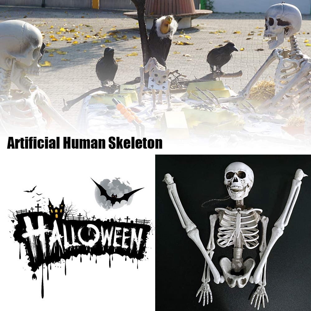 OZMI 5' 4" Tall Halloween Skeleton Decoration for Haunted House, 63 Inch Plastic Life Size Skull Skeleton for Halloween Party Haunted House Bar Yard Graveyard Decorations Party Supplies