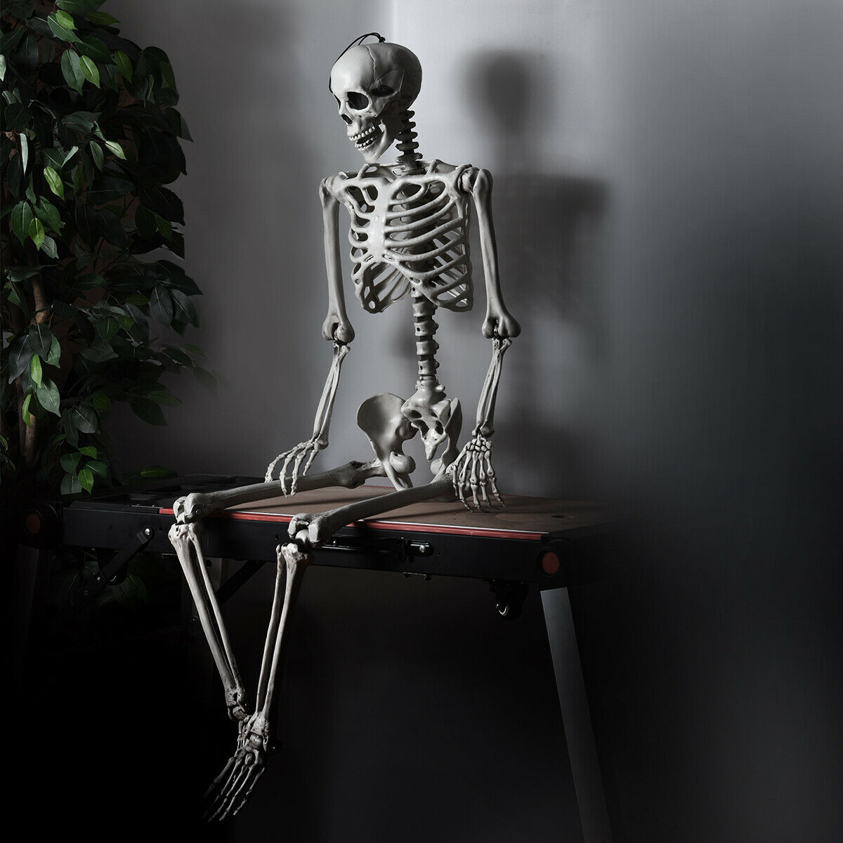 Gymax Full Body Halloween Skeleton 5.4ft Life Size w/ Hanging Rope Movable Joints