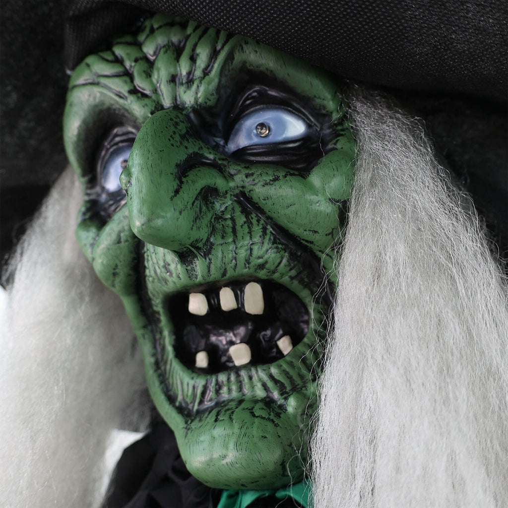 Haunted Hill Farm 6.0-Ft. Touch-Activated Mounted Flying Witch Halloween Animatronic