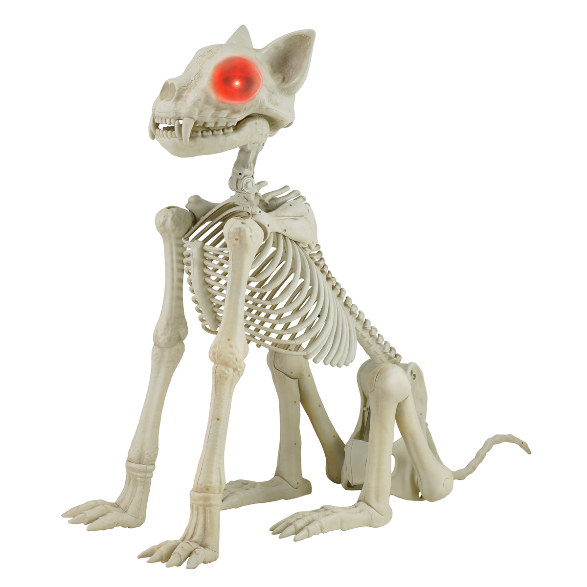 Way To Celebrate Animated Skeleton Cat Halloween Decoration, Beige, 60 in