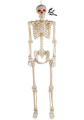 Deluxe Flaming Light Up Eyes & Talking Skeleton Decoration