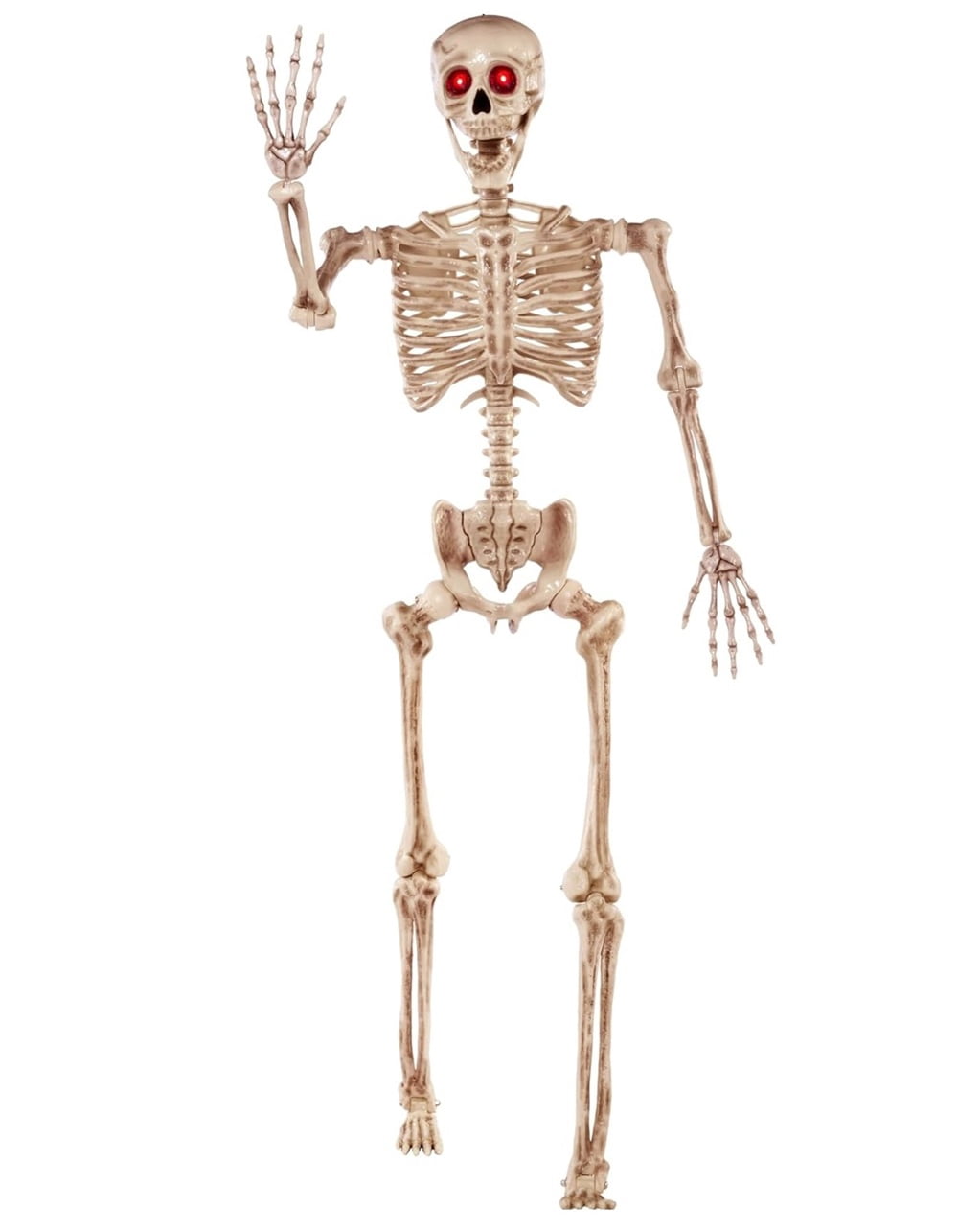 JOYIN 5FT Halloween Posable Skeleton with LED Red Glowing Eyes