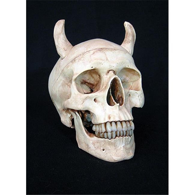 Skeletons and More DS100A Aged Devil Skull with 2 in. horn