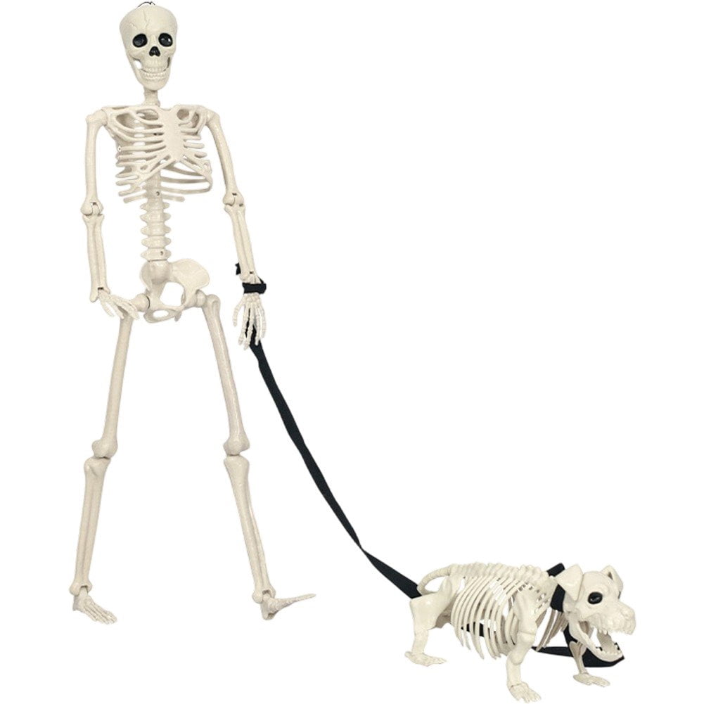 Slccxzc Halloween Skeleton Decoration Full Body Movable Joints with Dog Skeleton