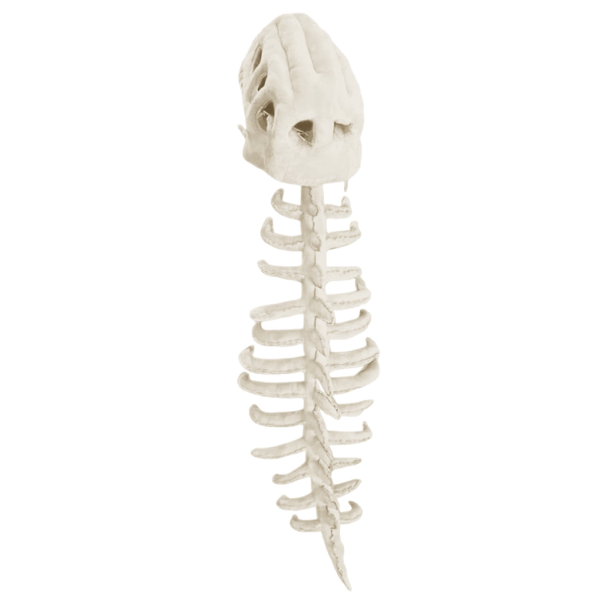 Adult Dinosaur Skeleton 3D Realistic Fossil Design Headpiece Mask for Halloween Themed Party Dress Up Decoration Prop Green