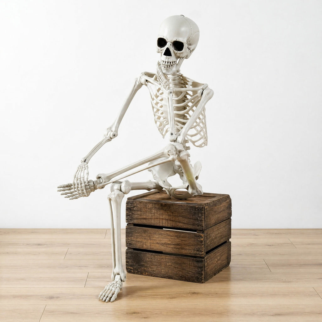 MYUNNIL Halloween Life Size Poseable Skeleton, Lightweight Spooky Simulated Human Skeleton Prop with Movable Joints, 5Ft Funny Reusable Seasonal Decoration for Haunted House Yard Party Indoor Decor