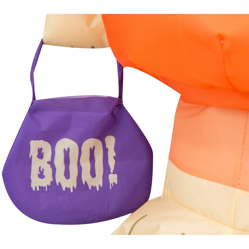 Bluey & Bingo 22" Halloween Indoor Inflatable Set with USB Power