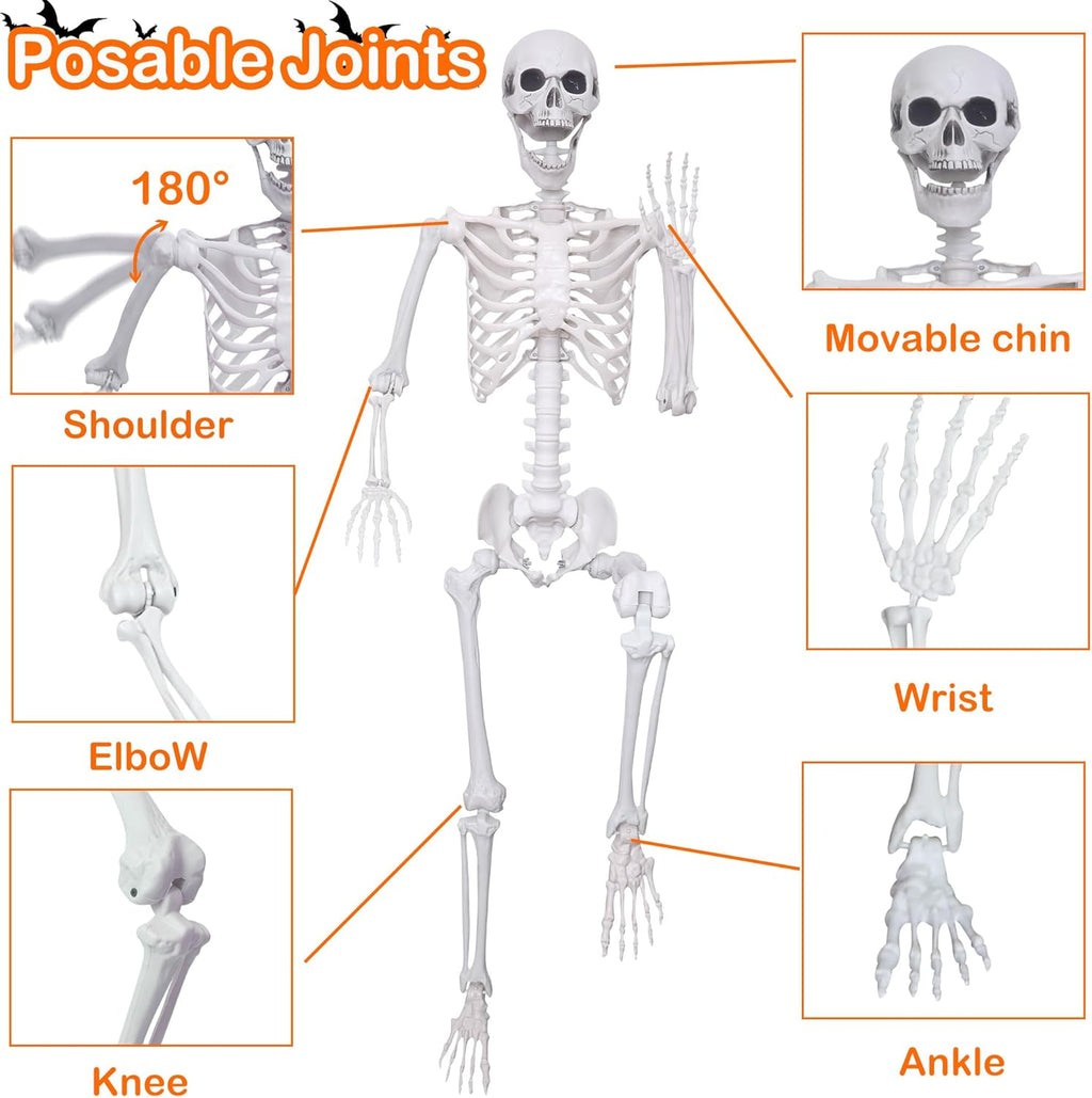 5.4ft/165cm Halloween Skeleton with Realistic Crows Full Body Plastic Human Bones with Movable Joints for Indoor Outdoor Halloween Decor