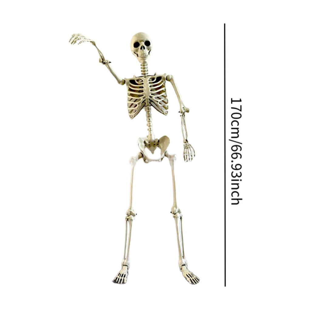 FVDPWYE Halloween Skeleton Horror Prop Ornament Flexible for Party Outdoor Festivals 170cm