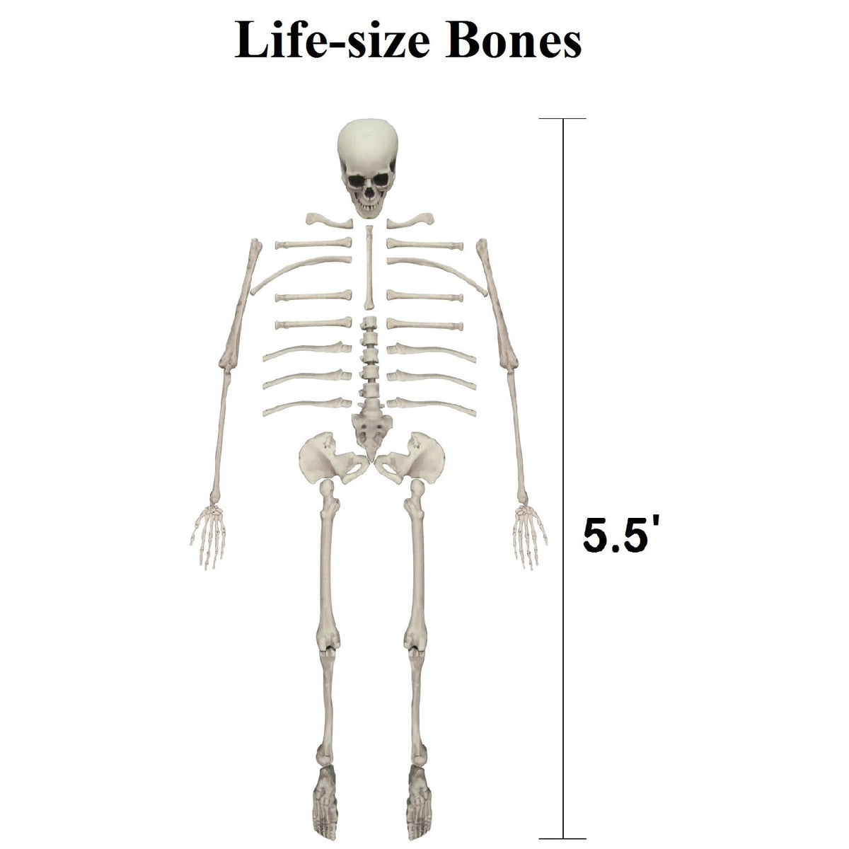 10 Pack Halloween Foam RIP Graveyard Tombstones with 35P Skeleton Bones for Halloween Party Outdoor Decorations