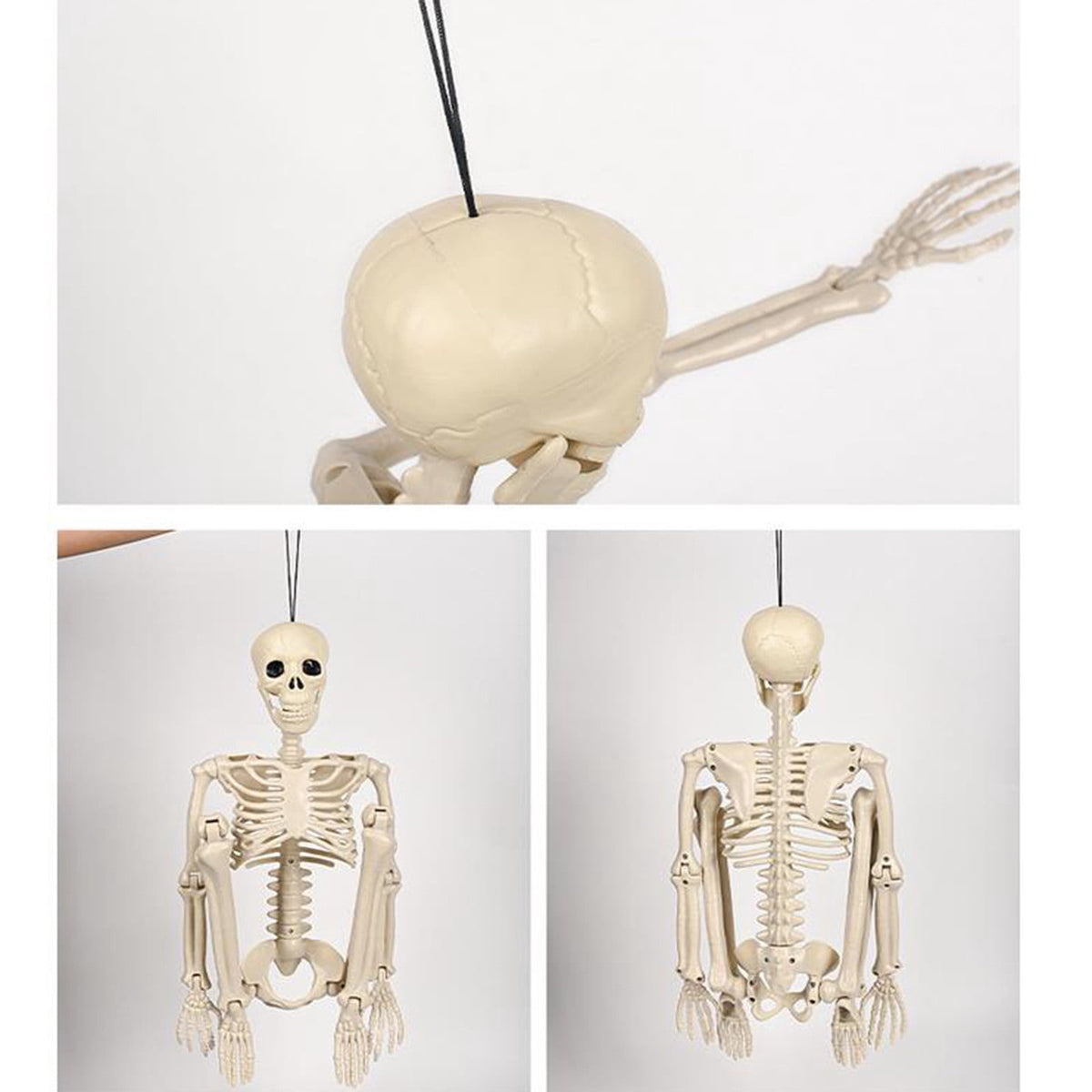 Posable Plastic Human Skeleton Prop 5.4FT Full Body Halloween Skeleton Decor with Movable Joints for Haunted House Yard Party Decoration