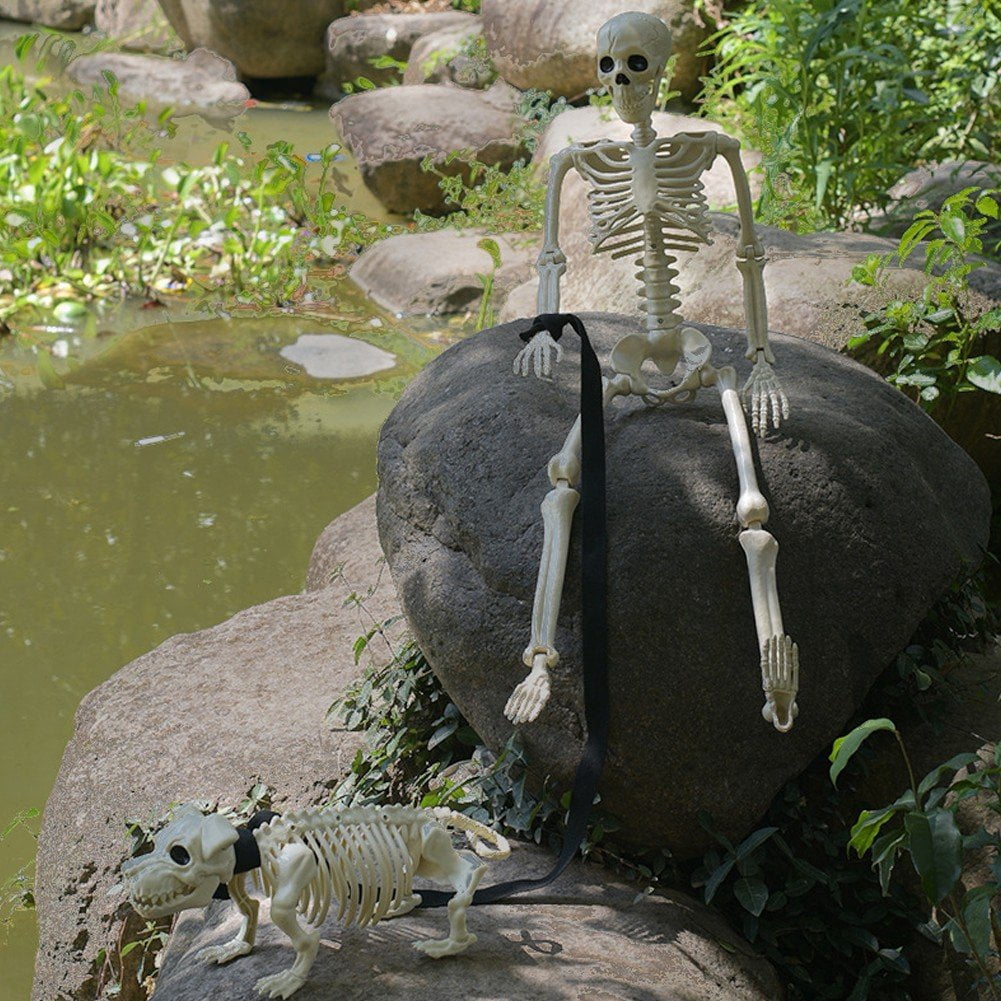 Slccxzc Halloween Skeleton Decoration Full Body Movable Joints with Dog Skeleton