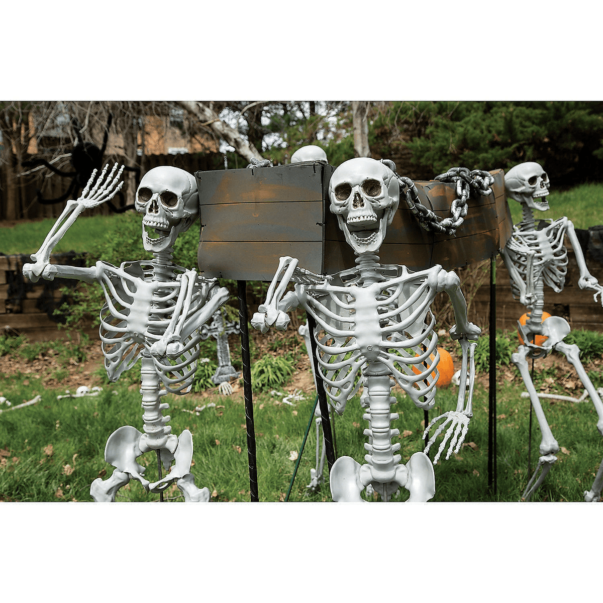 Life Size Posable Skeleton Halloween Decorations, Home Decor, Halloween, 4 Pieces