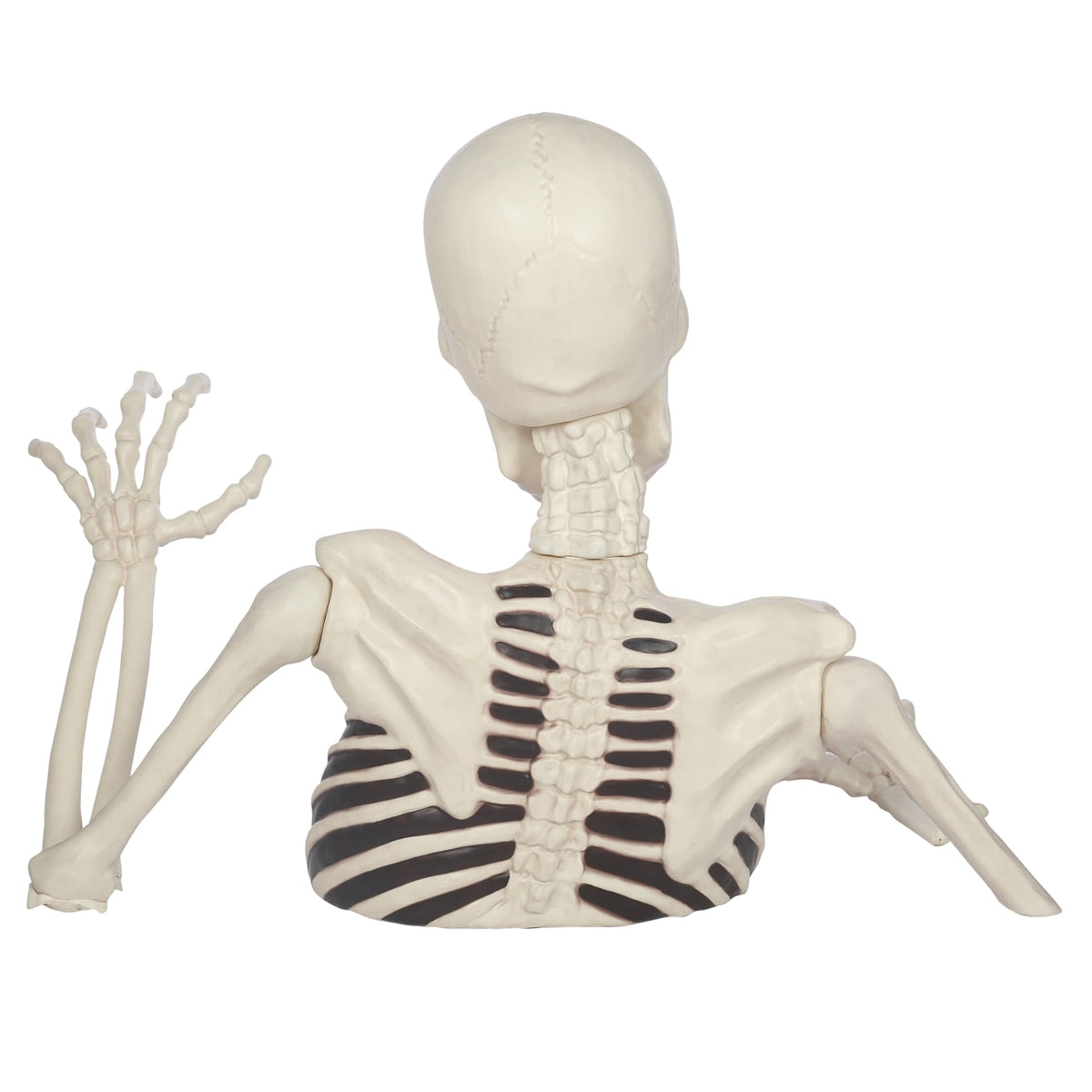 Seasons 35" Halloween Giant Groundbreaker Skeleton, Halloween Decoration for Outdoor Lawn Yard and Porch
