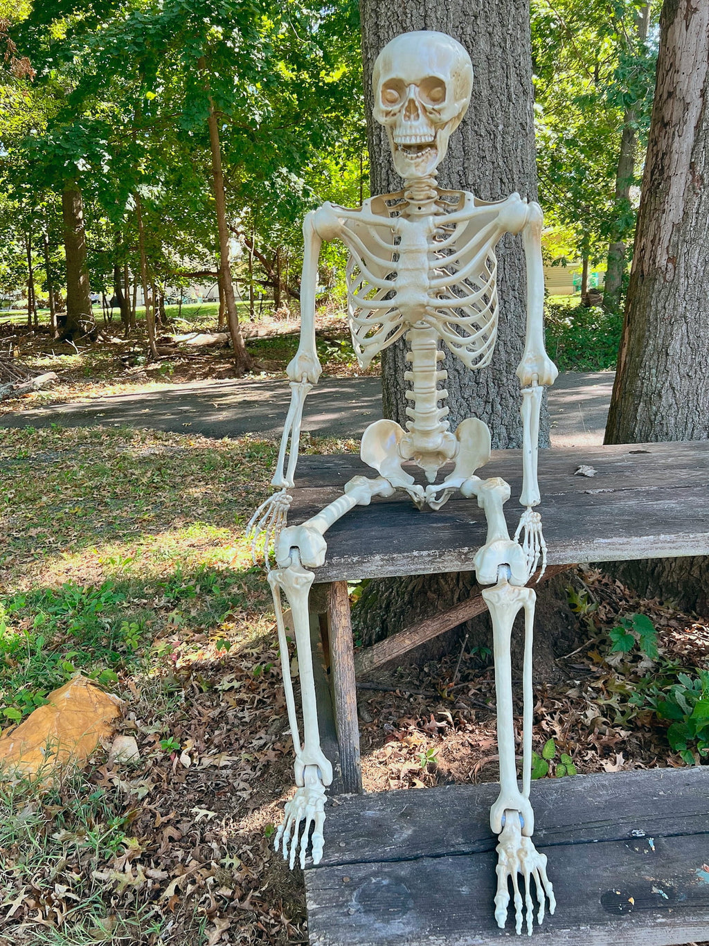 Rubies 60 in Poseable Skeleton Prop